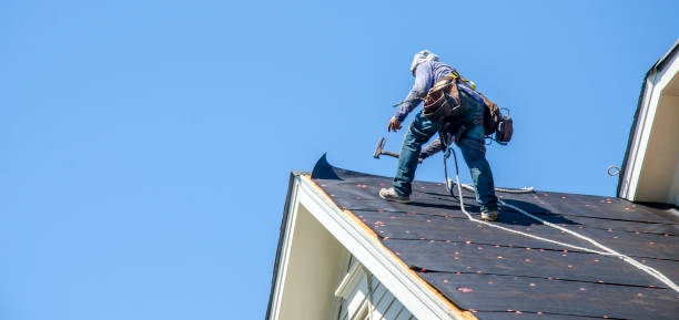 Best Storm Damage Roof Repair  in La Vernia, TX
